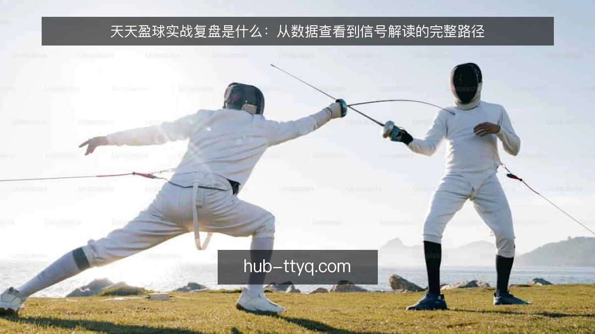 天天盈球实战复盘是什么：从数据查看到信号解读的完整路径