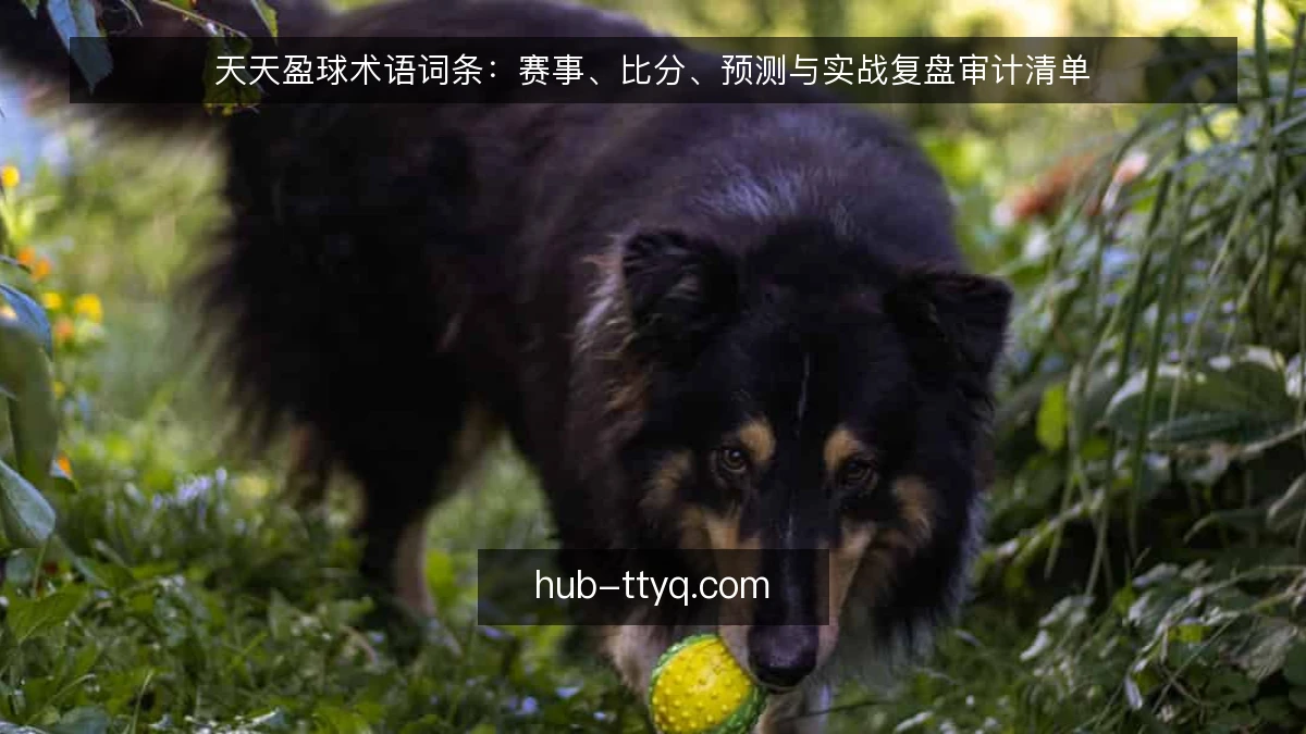 天天盈球术语词条：赛事、比分、预测与实战复盘审计清单